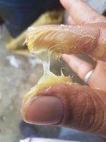 Lubricating Greases - Image 6